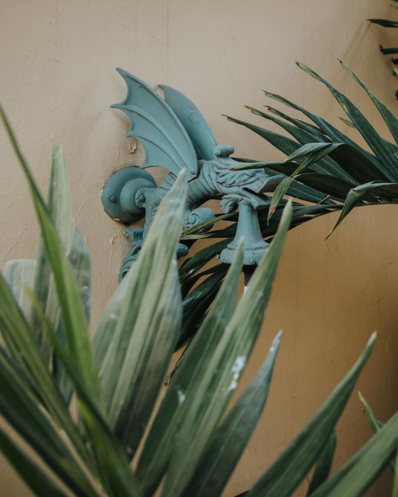 Casa Florida B&B San Miguel de Allende Exterior foto